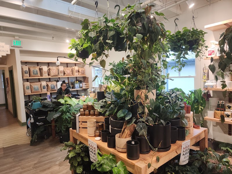 Bellwood Coffee - East Atlanta Village