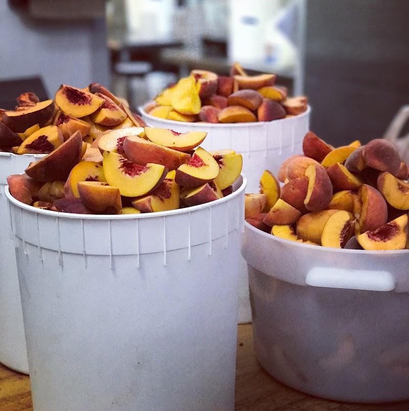 Noble Folk Ice Cream & Pie Bar