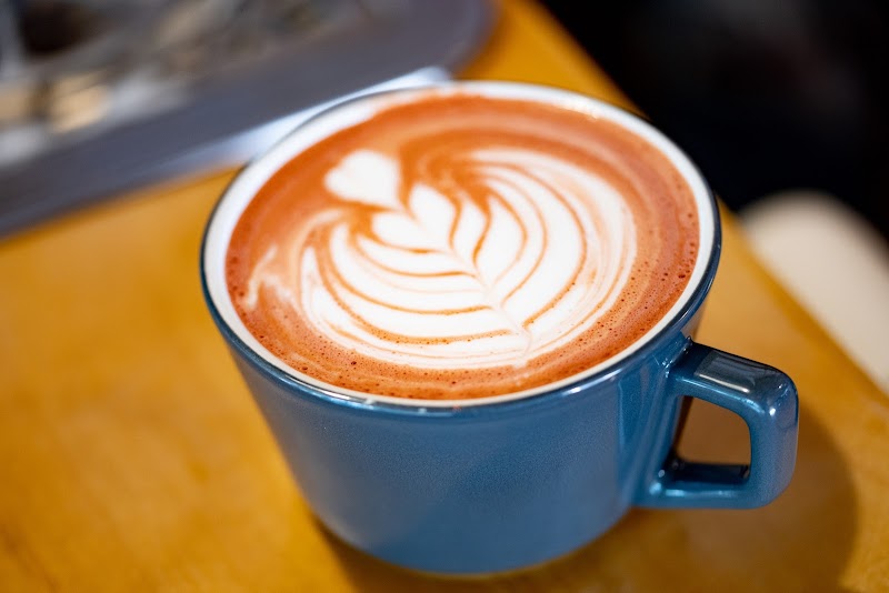 Bearded Lady Coffee Roasters