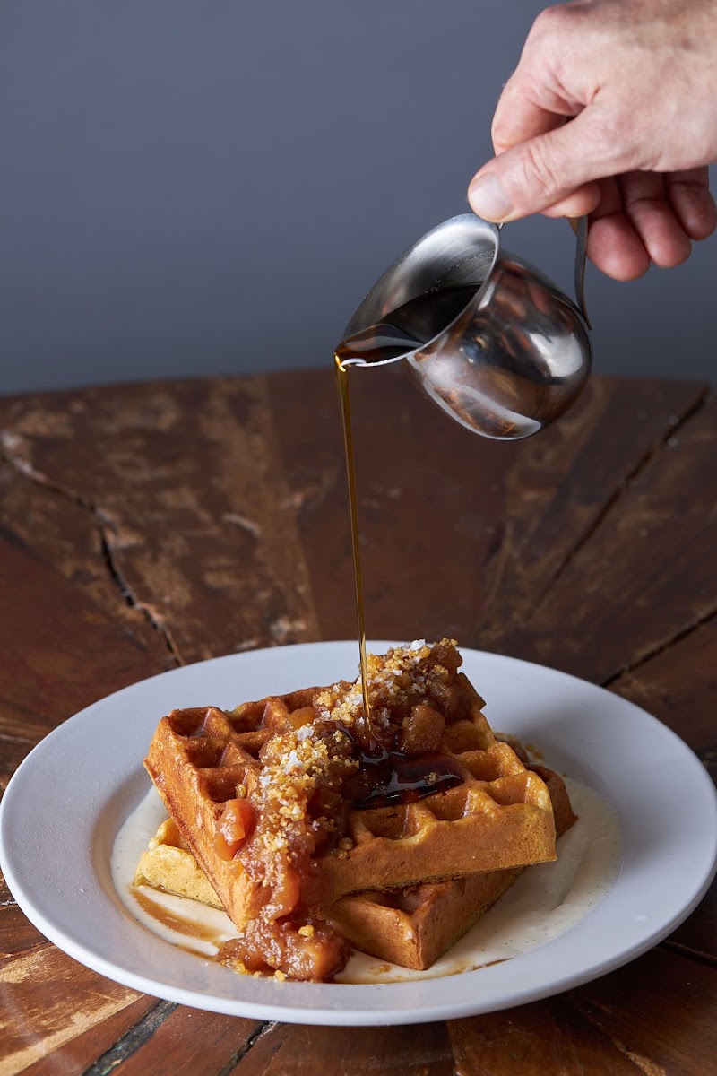 Coffee Plant Roaster