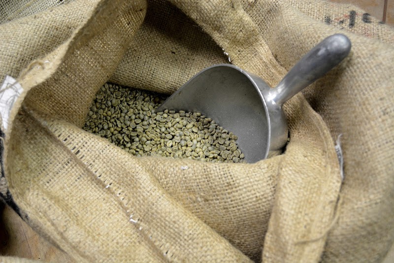 Fortuna Enterprises LLC