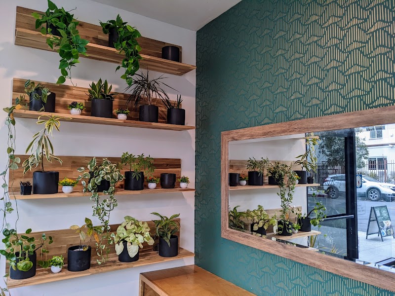 Compelling Coffee Roasters