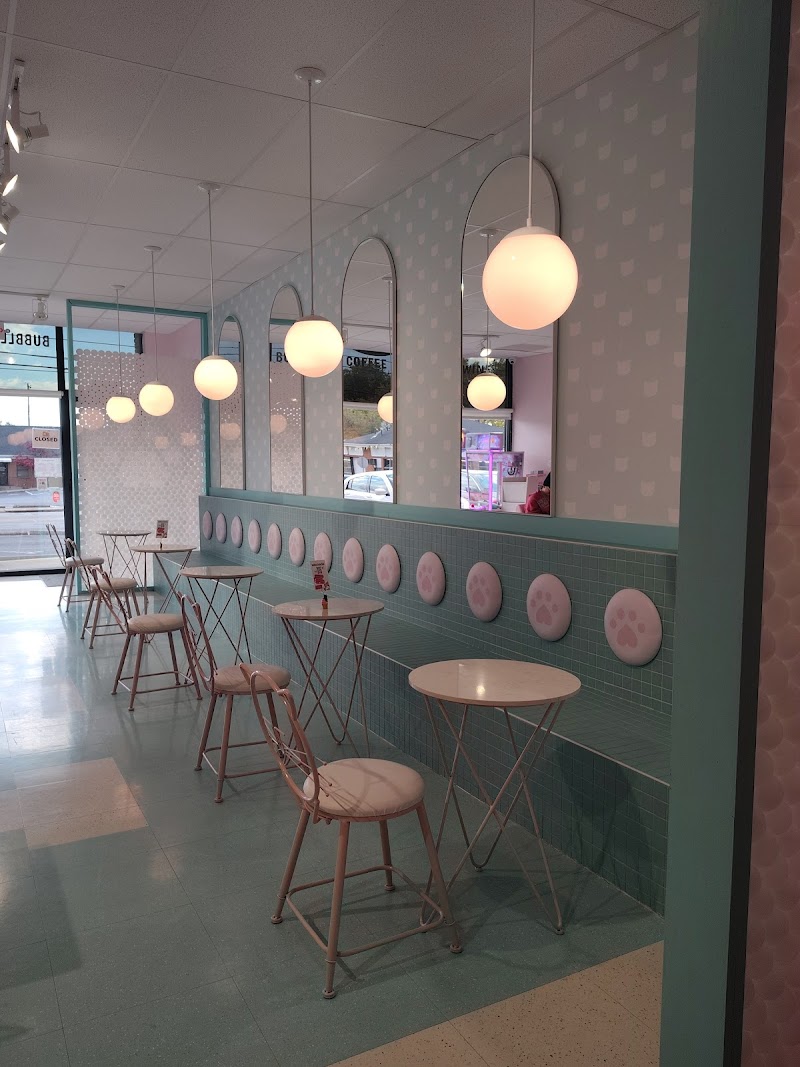 Kitty Bubble Cafe & Bar
