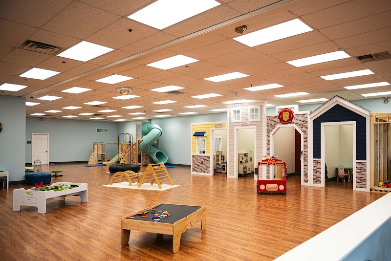 Little Lions Play Den