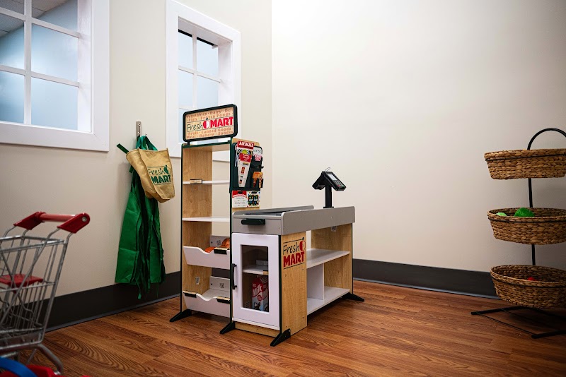 Little Lions Play Den