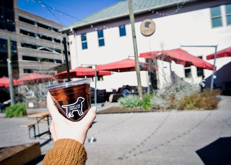 Lucky Lab Coffee Co.