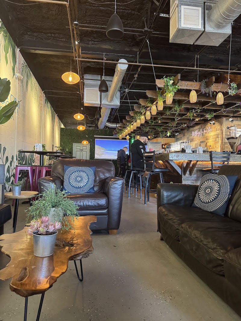 The Muddy Root Kava Cafe