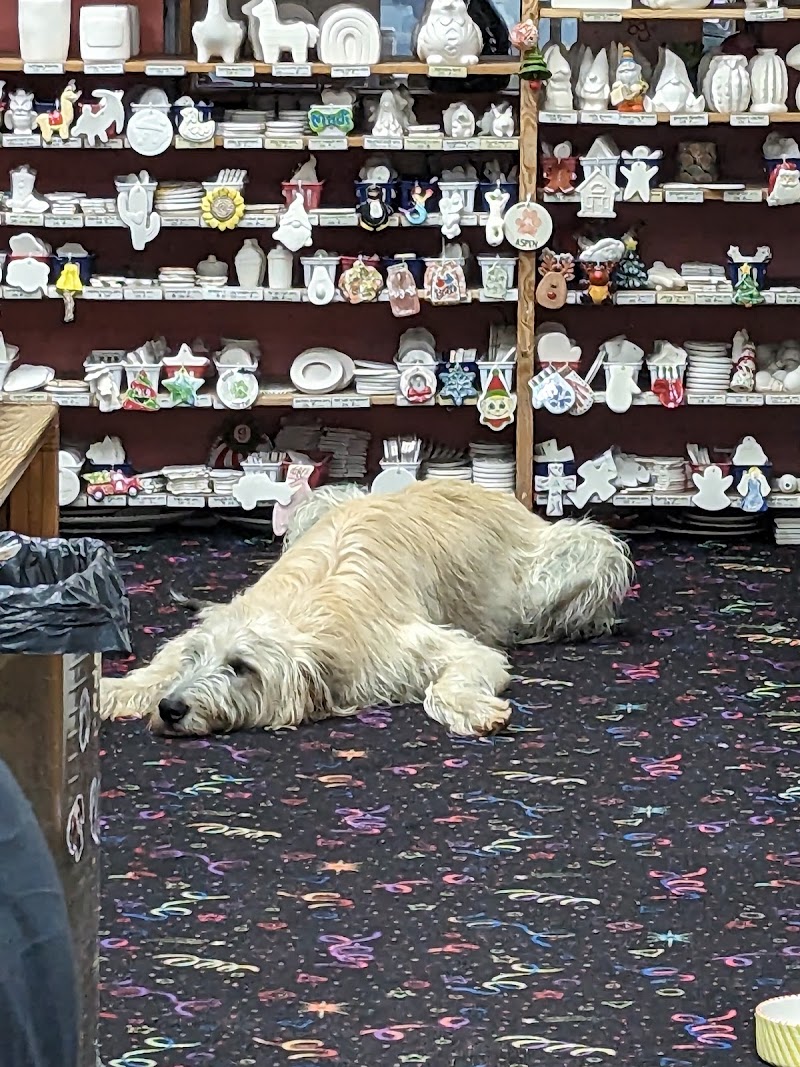 meg-art pottery painting studio & espresso bar