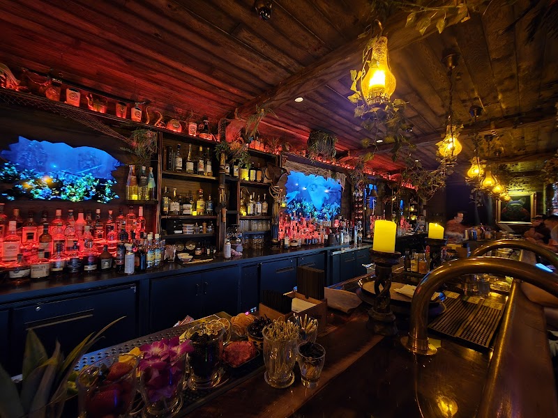 Stray Pirate - Tropical Cocktails & Effects