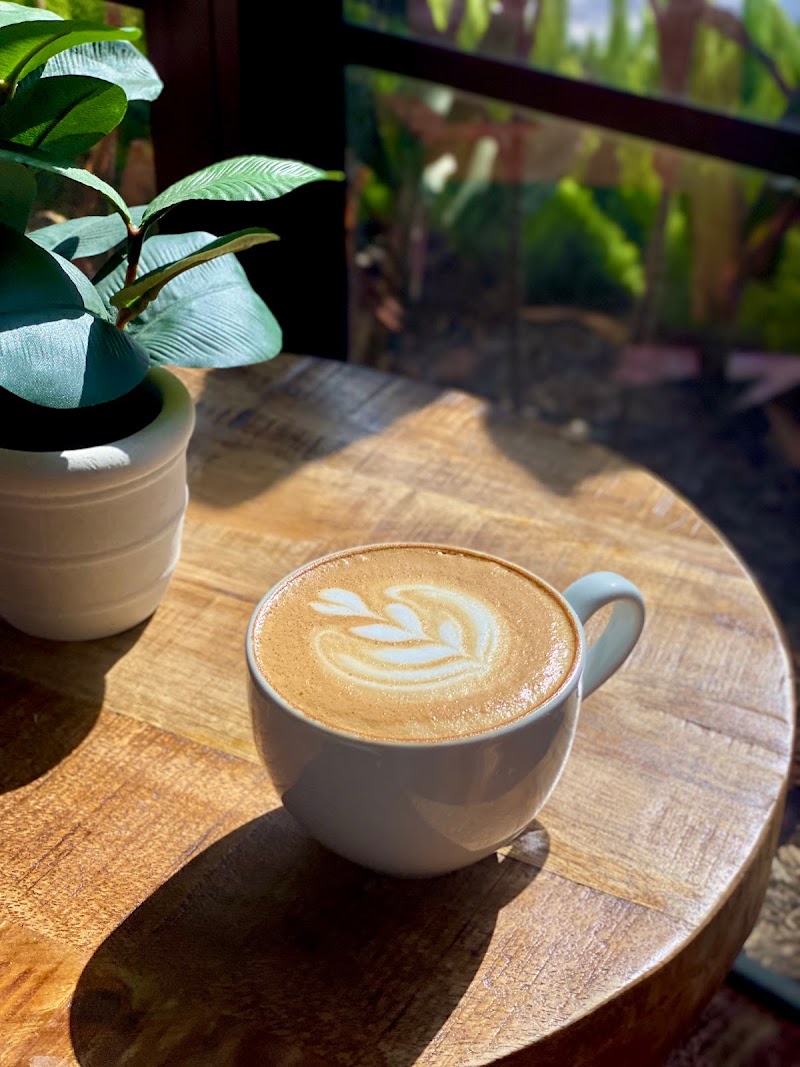 Common Grounds Brew & Roastery