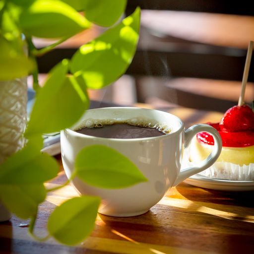 Solstice Roasters Cafe