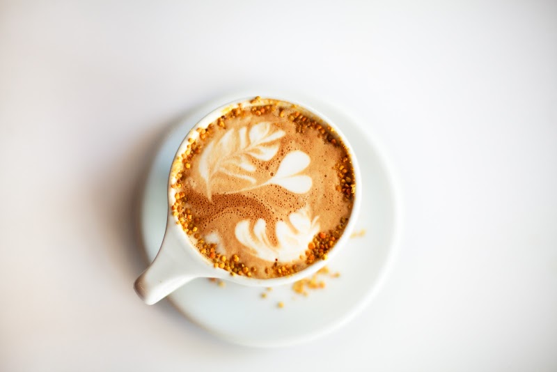 Black Oak Coffee Roasters