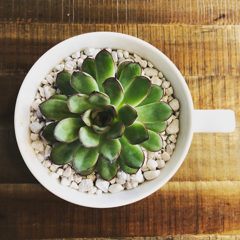 The Grounds Bookstore and Café