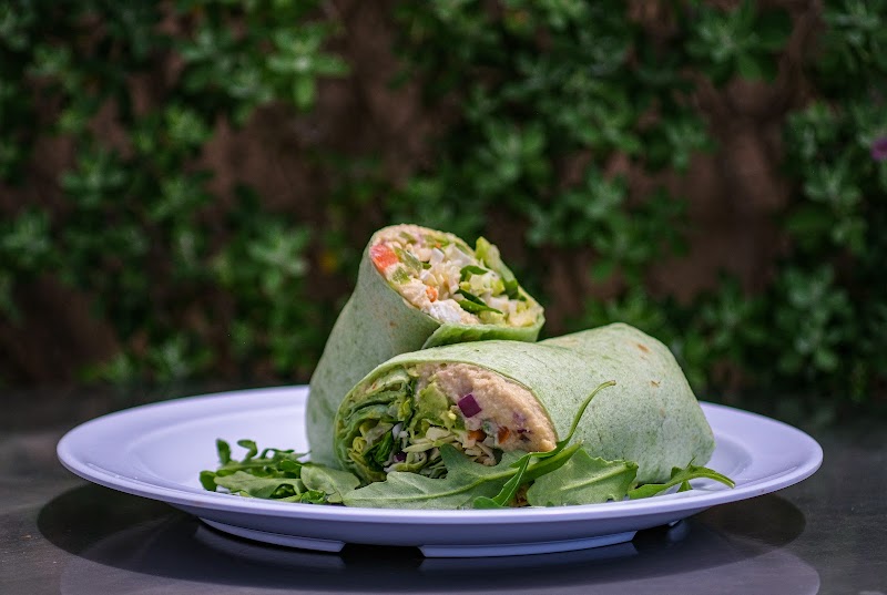 Daily Spark Coffee Roasters