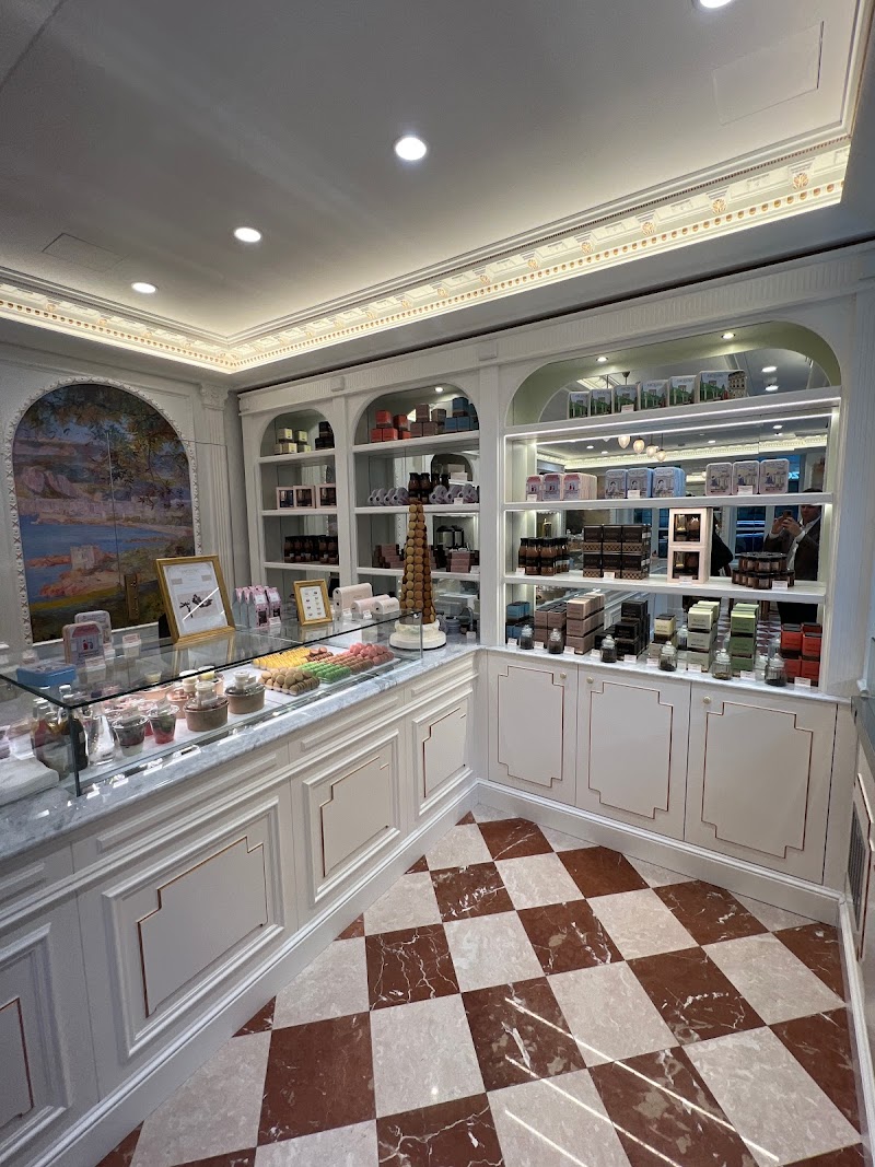 Angelina Paris Lexington