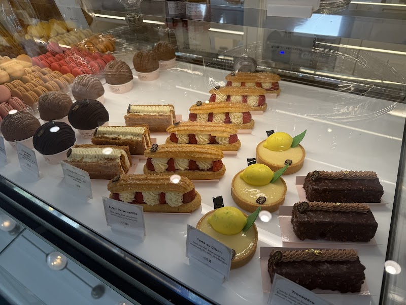 Angelina Paris Lexington