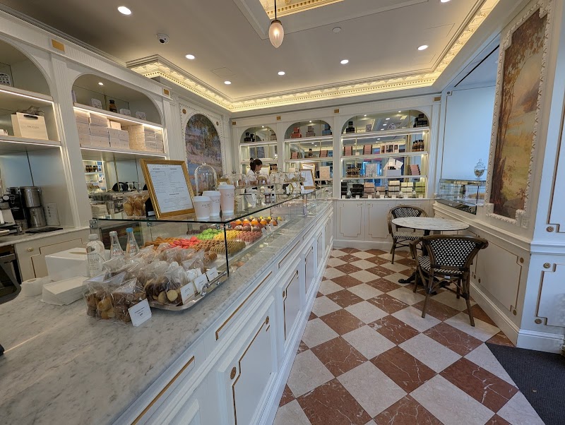 Angelina Paris Lexington