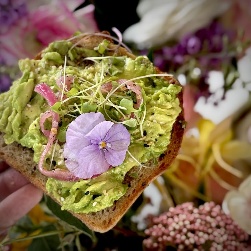 Emilie and the Frenchies