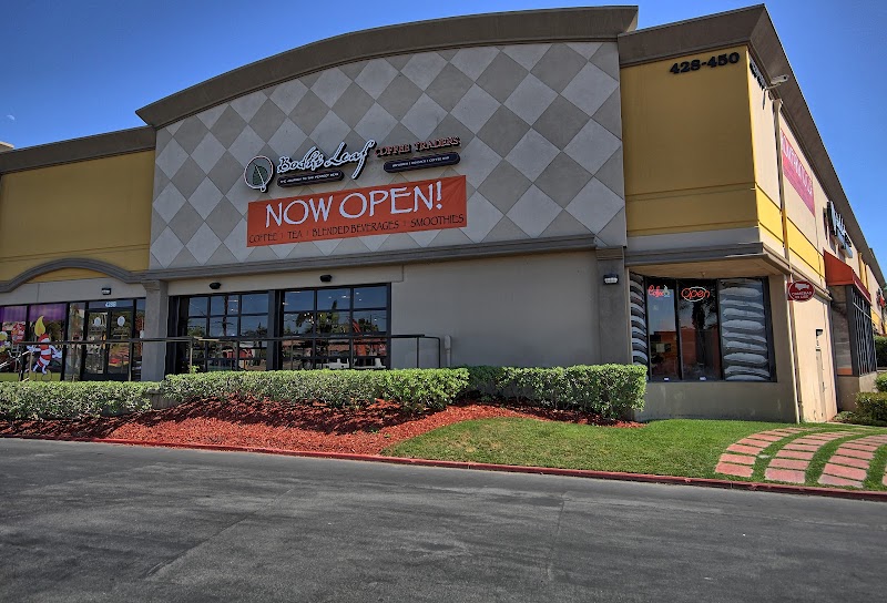 Bodhi Leaf Coffee Traders