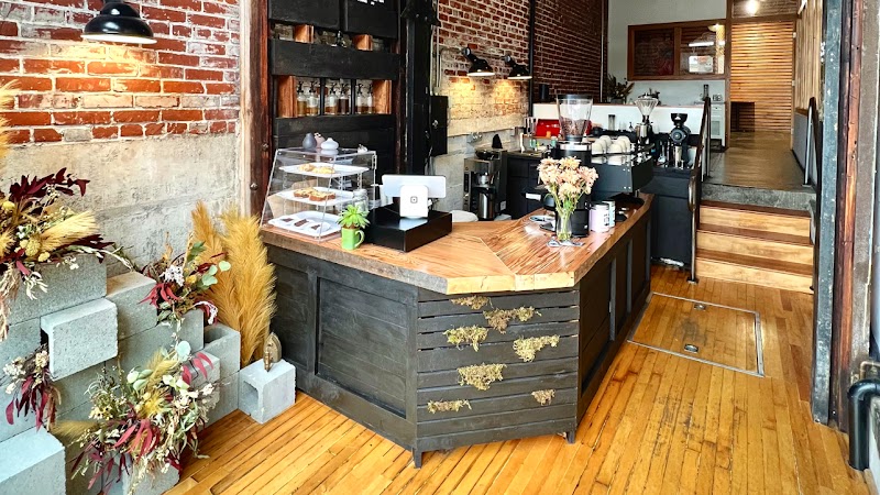 Exquisite Creatures Coffee