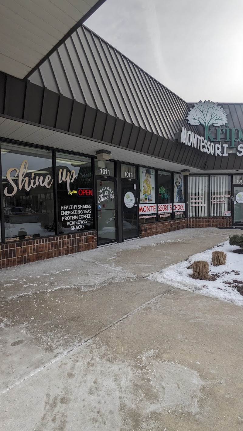 Shine Up Protein Bar