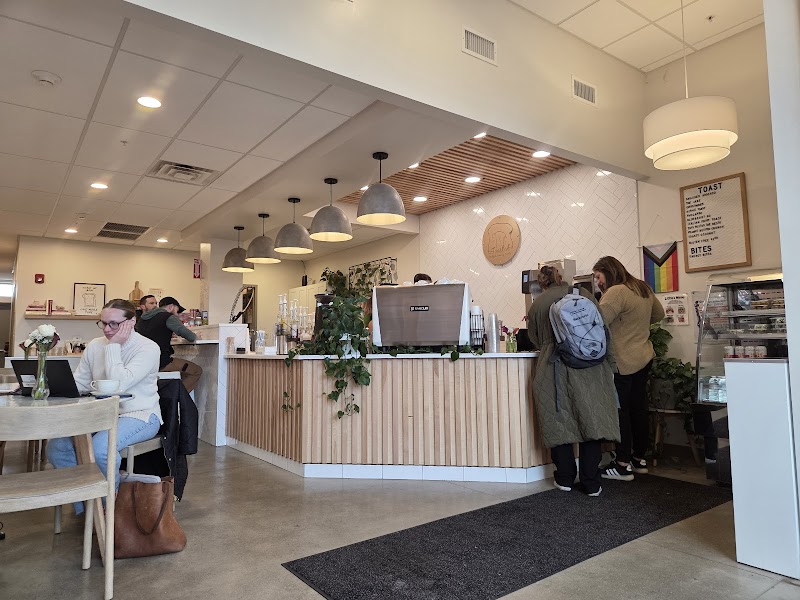 Toasted by Buffalo Beauty Foodie