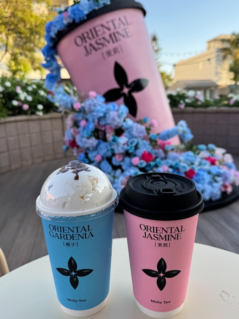 Molly Tea (San Gabriel)