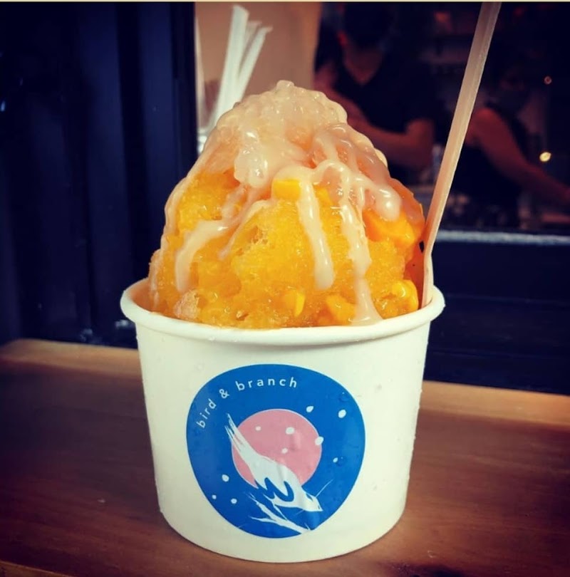 Bird & Branch Coffee Roasters