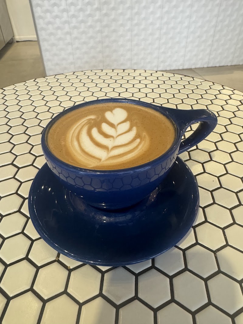 Bird & Branch Coffee Roasters
