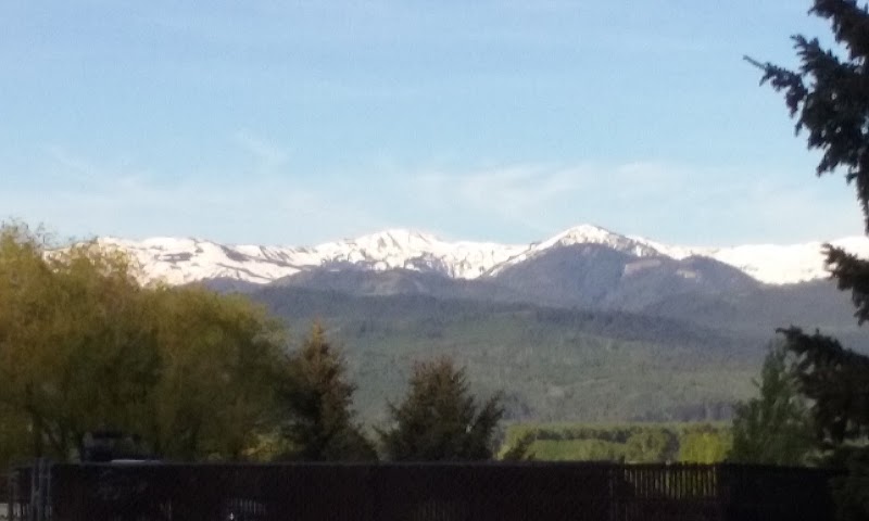 Great Northern Coffee Co