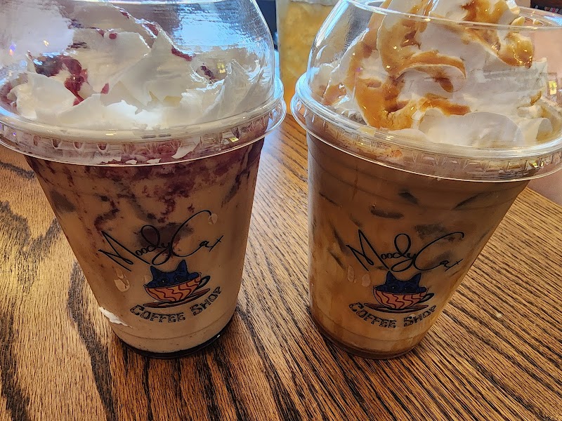 Moody Cat Coffee Shop