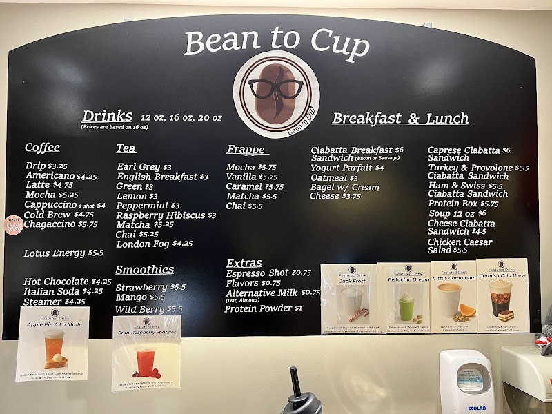 Bean to Cup