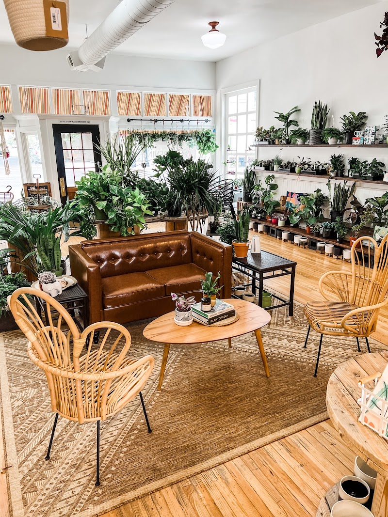 Jubilee Plants and Gathering