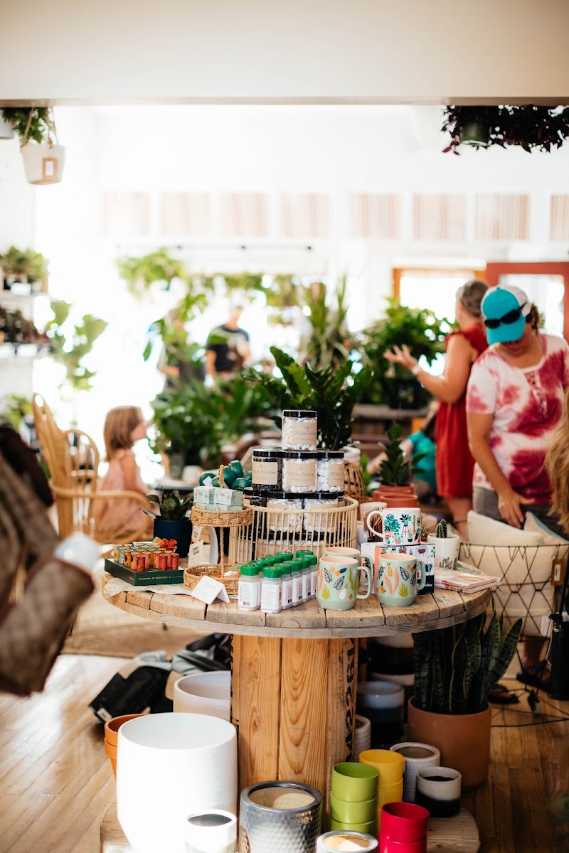 Jubilee Plants and Gathering