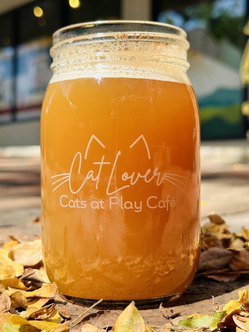 Cats at Play Cafe