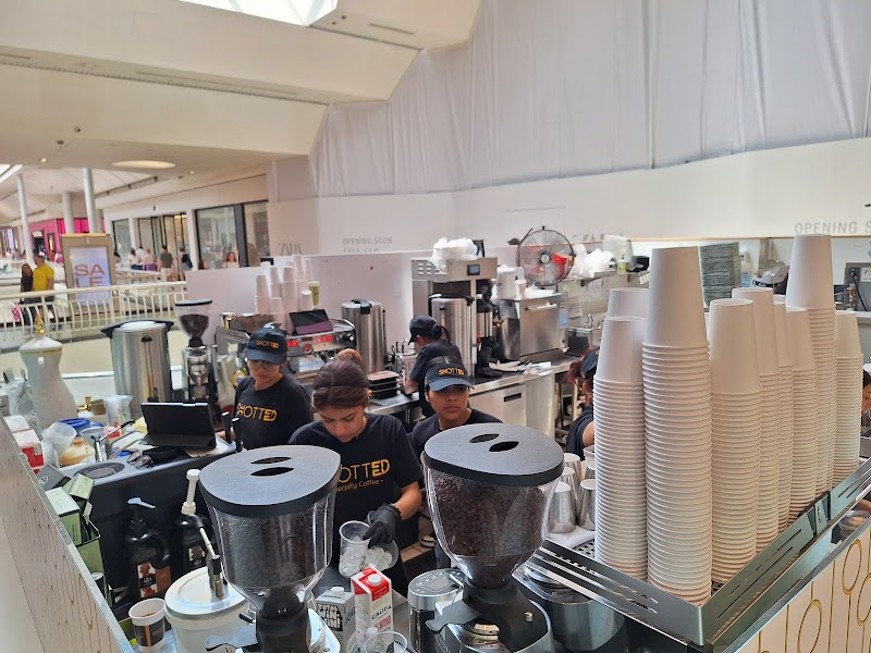 Shotted Specialty Coffee Booth