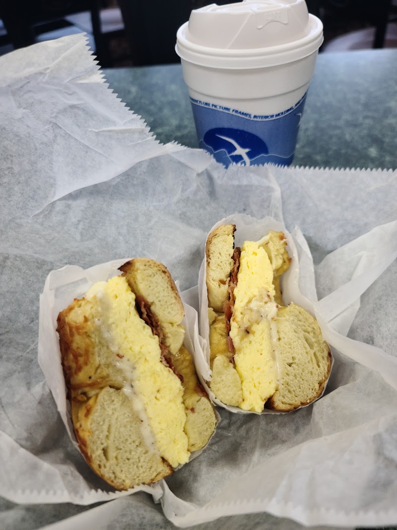 The Daily Bagel Café
