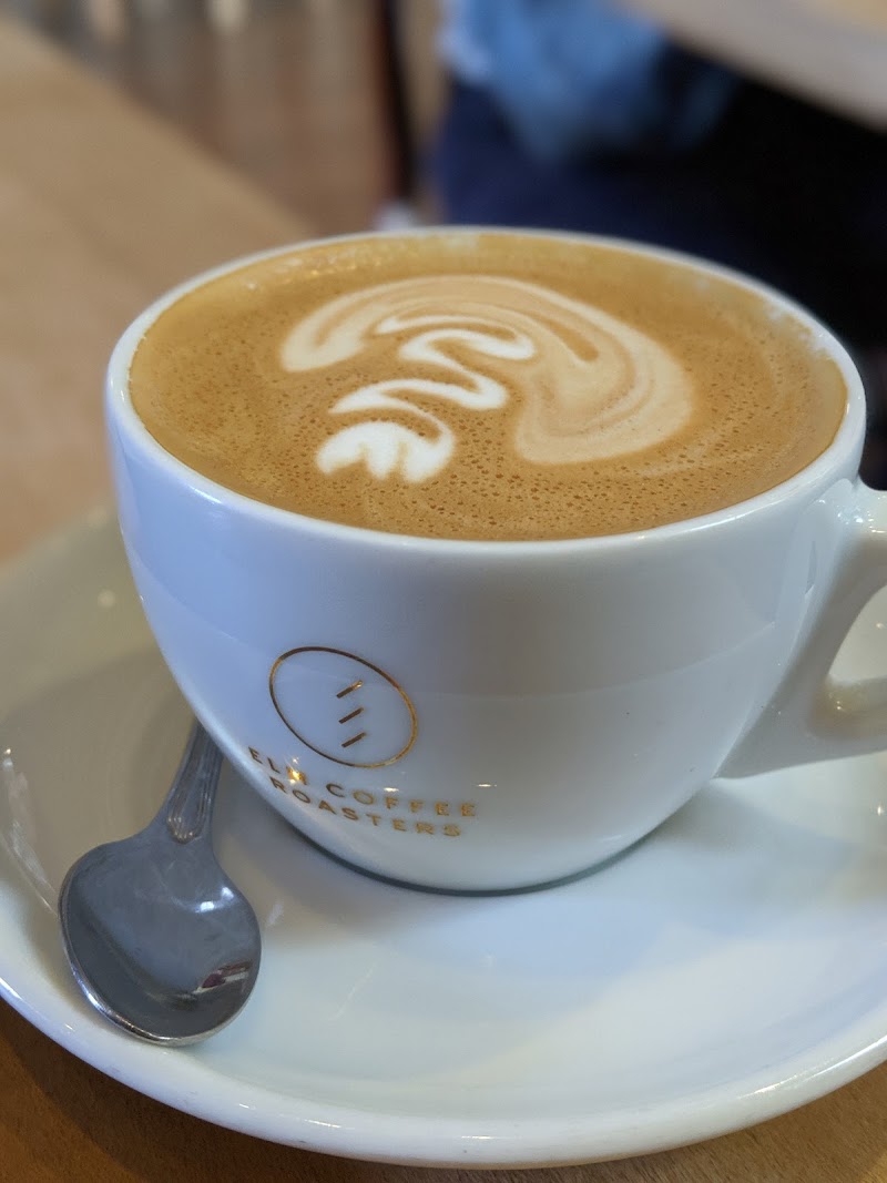 Elm Coffee Roasters