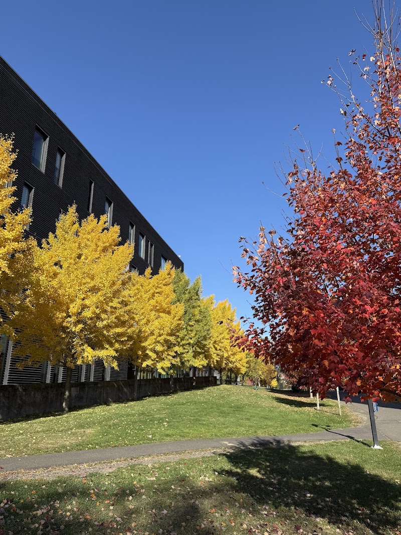 Yale Health Center Café