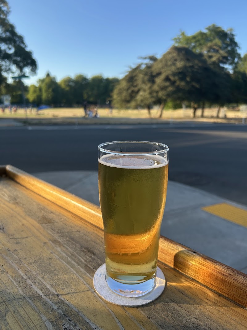 Jellyfish Brewing Company - Green Lake