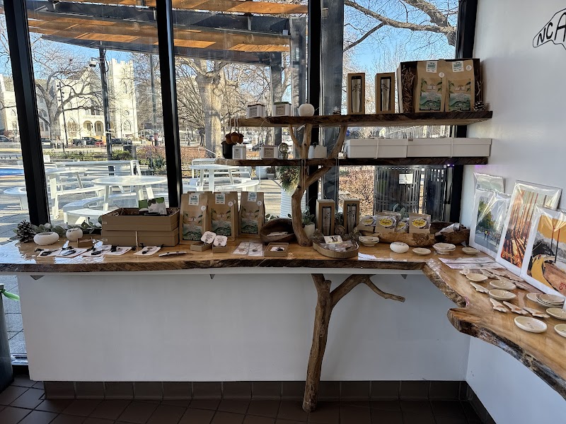 Lucky Tree Cafe & Roastery - Moore Square