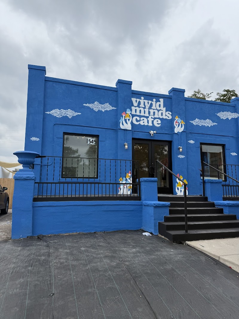 Vivid Minds Cafe