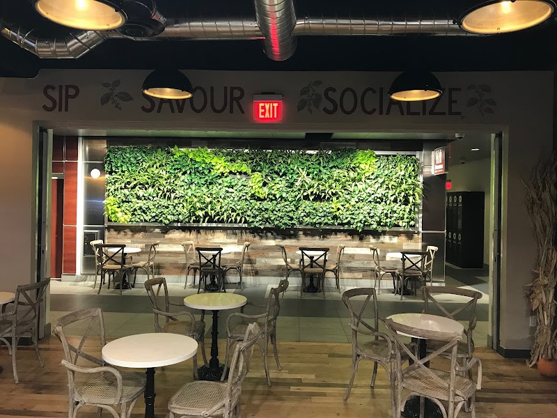 Sambalatte at Molasky Center