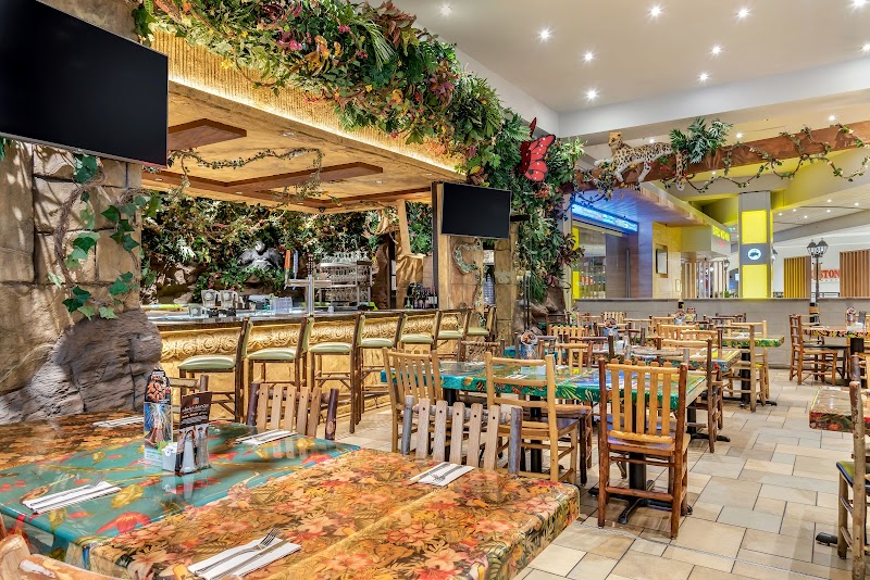 Rainforest Cafe