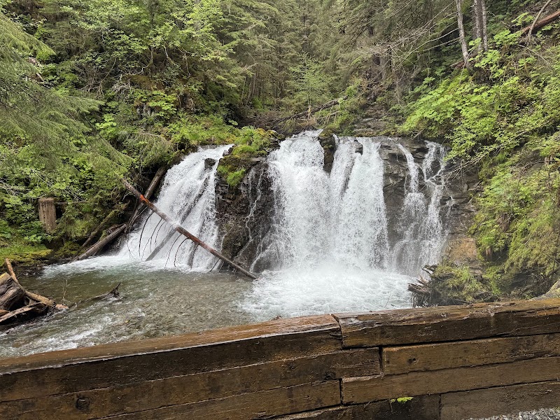 Gold Creek Salmon Bake