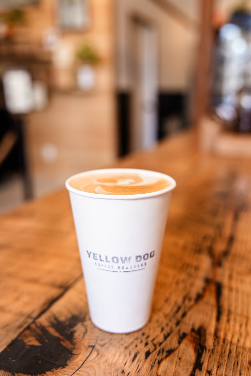 Yellow Dog Coffee Roasters