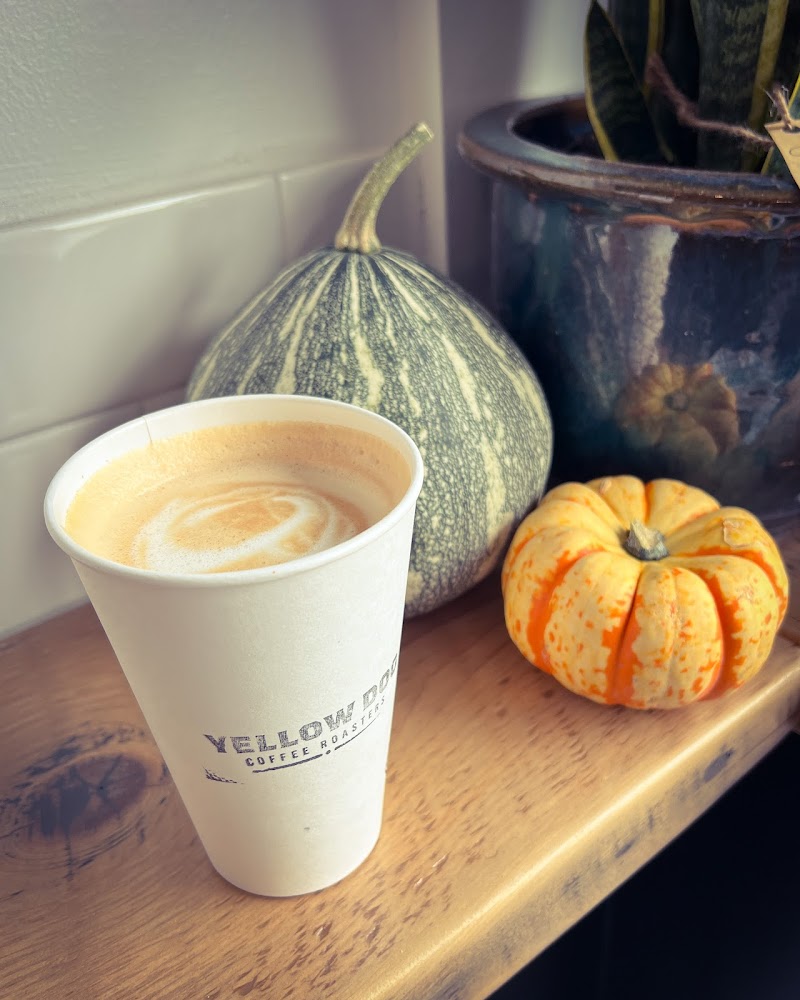 Yellow Dog Coffee Roasters