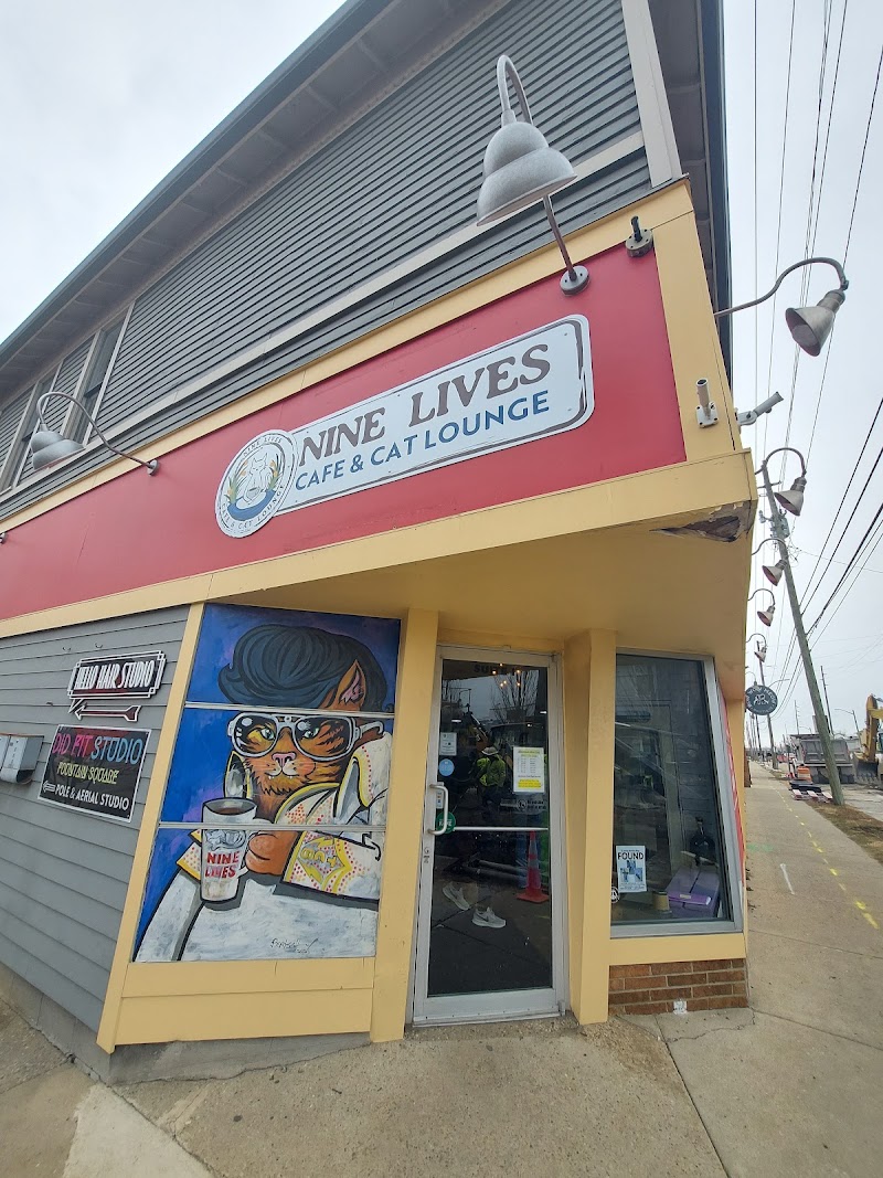 Nine Lives Cafe & Cat Lounge
