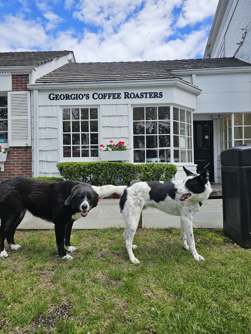 Georgio's Coffee Roasters - Stony Brook, NY | joe coffee