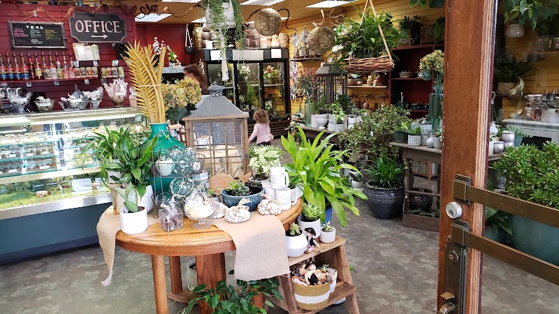 Sitka Flowers & The Chocolate Moose